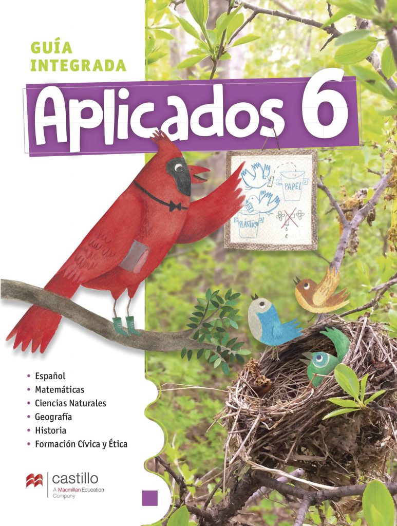 Aplicados 6 Ediciones Castillo